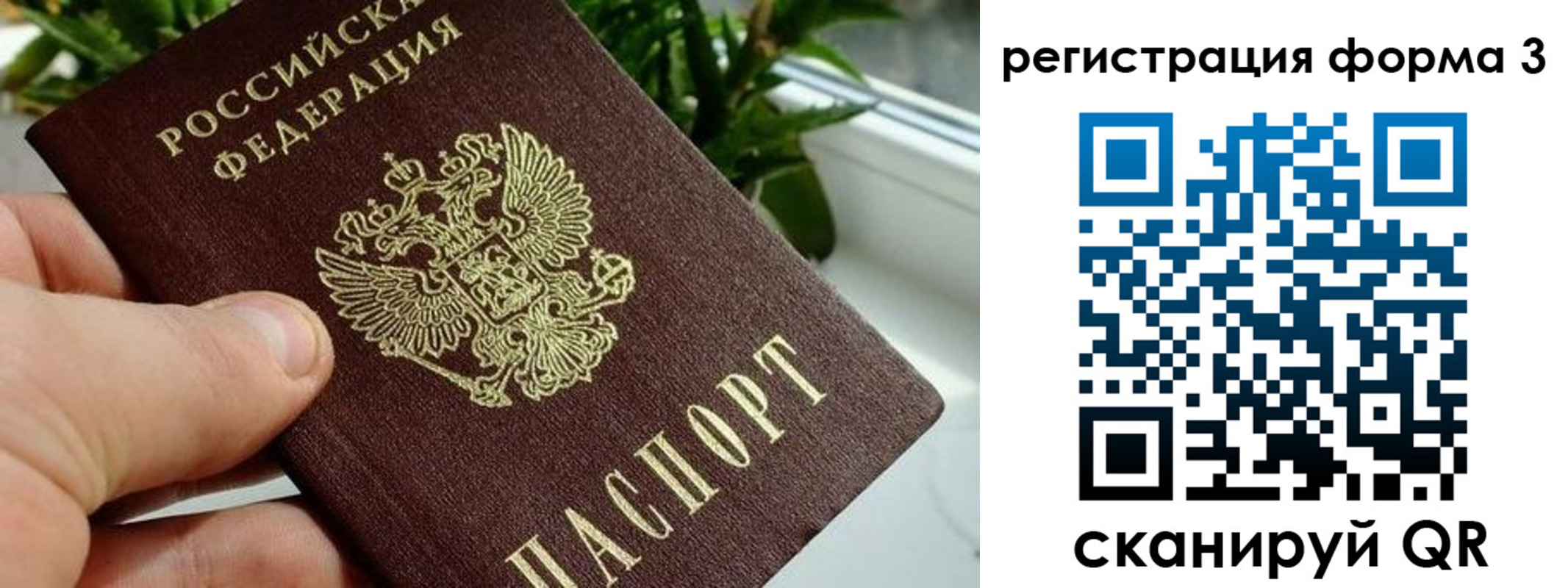 прописка штамп в Ряжске
